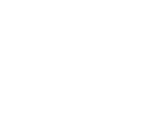 Pangora AI